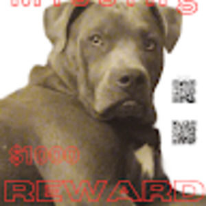 Meet your Posher, Smoke